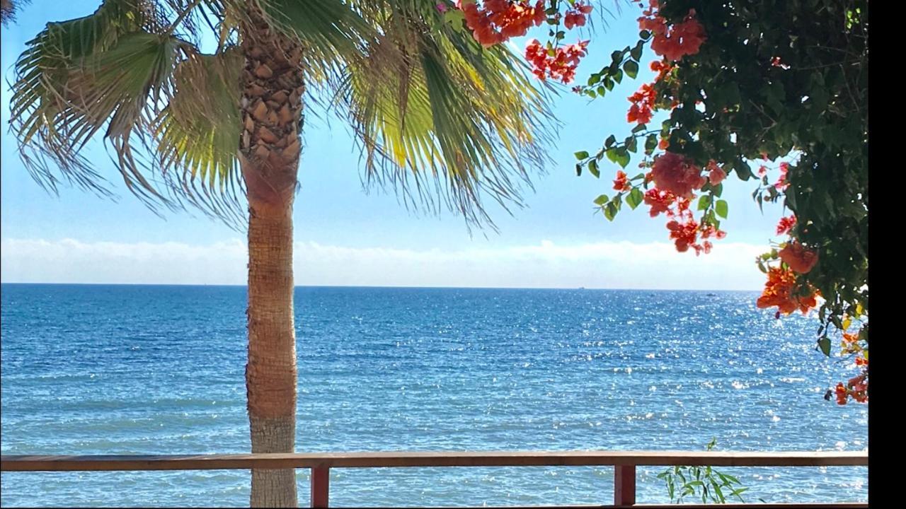 Mi Capricho Beachfront- 3-7 Apartment With Sea Views Sitio de Calahonda エクステリア 写真
